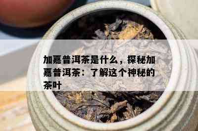 加嘉普洱茶是什么，探秘加嘉普洱茶：了解这个神秘的茶叶