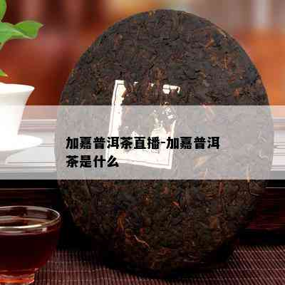 加嘉普洱茶直播-加嘉普洱茶是什么