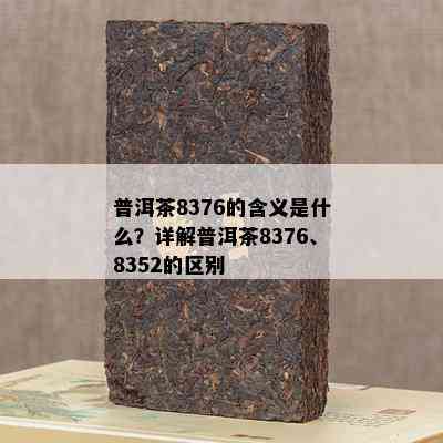 普洱茶8376的含义是什么？详解普洱茶8376、8352的区别