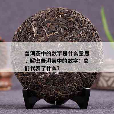 普洱茶中的数字是什么意思，解密普洱茶中的数字：它们代表了什么？