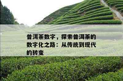 普洱茶数字，探索普洱茶的数字化之路：从传统到现代的转变