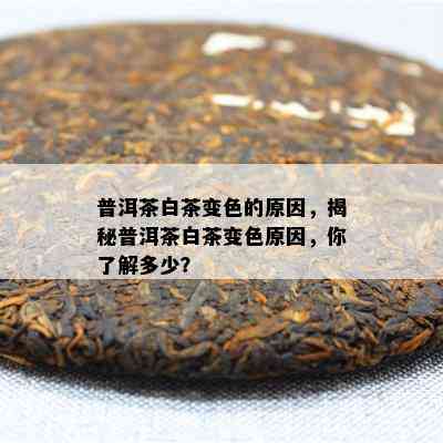 普洱茶白茶变色的原因，揭秘普洱茶白茶变色原因，你了解多少？