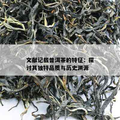 文献记载普洱茶的特征：探讨其独特品质与历史渊源