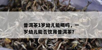 普洱茶1岁幼儿能喝吗，一岁幼儿能否饮用普洱茶？