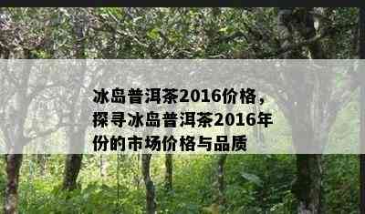 冰岛普洱茶2016价格，探寻冰岛普洱茶2016年份的市场价格与品质