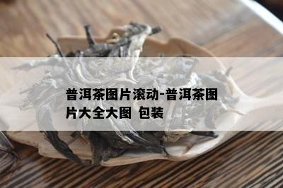 普洱茶图片滚动-普洱茶图片大全大图 包装