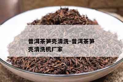 普洱茶笋壳清洗-普洱茶笋壳清洗机厂家