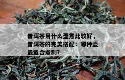 普洱茶用什么壶煮比较好，普洱茶的完美搭配：哪种壶最适合煮制？