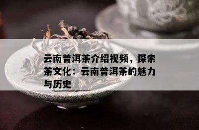 云南普洱茶介绍视频，探索茶文化：云南普洱茶的魅力与历史