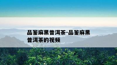 品鉴麻黑普洱茶-品鉴麻黑普洱茶的视频