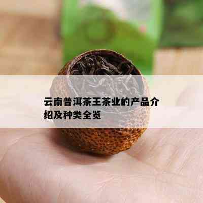 云南普洱茶王茶业的产品介绍及种类全览