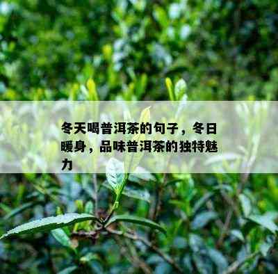 冬天喝普洱茶的句子，冬日暖身，品味普洱茶的特别魅力