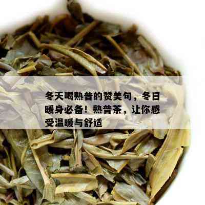 冬天喝熟普的赞美句，冬日暖身必备！熟普茶，让你感受温暖与舒适