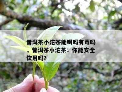 普洱茶小沱茶能喝吗有吗，普洱茶小沱茶：你能安全饮用吗？