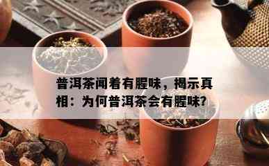 普洱茶闻着有腥味，揭示真相：为何普洱茶会有腥味？