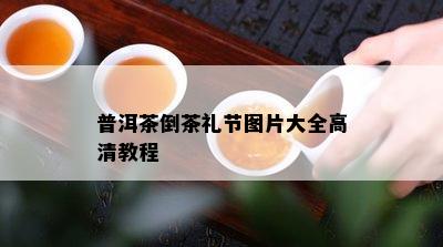 普洱茶倒茶礼节图片大全高清教程