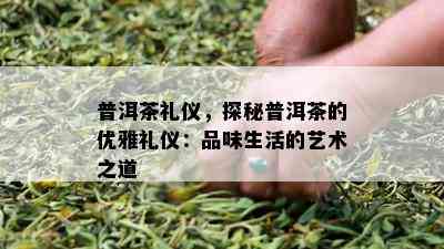 普洱茶礼仪，探秘普洱茶的优雅礼仪：品味生活的艺术之道