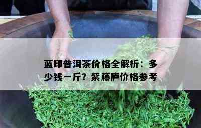 蓝印普洱茶价格全解析：多少钱一斤？紫藤庐价格参考