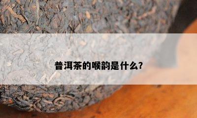 普洱茶的喉韵是什么？