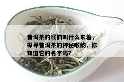 普洱茶的喉韵叫什么来着，探寻普洱茶的神秘喉韵，你知道它的名字吗？