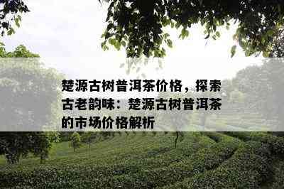 楚源古树普洱茶价格，探索古老韵味：楚源古树普洱茶的市场价格解析