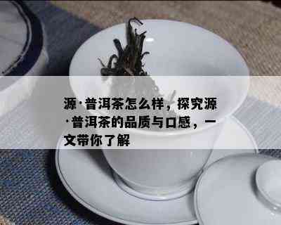 源·普洱茶怎么样，探究源·普洱茶的品质与口感，一文带你熟悉