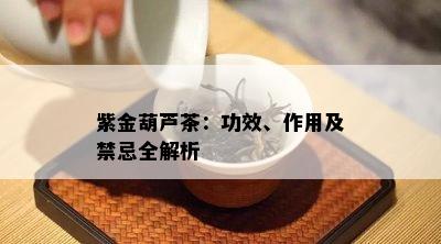 紫金葫芦茶：功效、作用及禁忌全解析