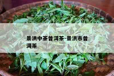 景洪中茶普洱茶-景洪市普洱茶