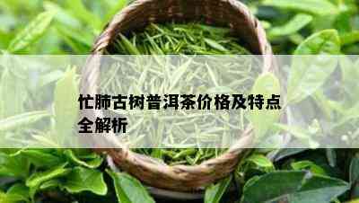 忙肺古树普洱茶价格及特点全解析