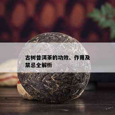 古树普洱茶的功效、作用及禁忌全解析