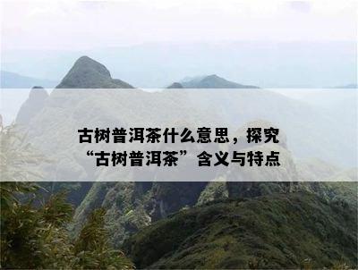 古树普洱茶什么意思，探究“古树普洱茶”含义与特点