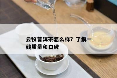 云牧普洱茶怎么样？熟悉一线品质和口碑