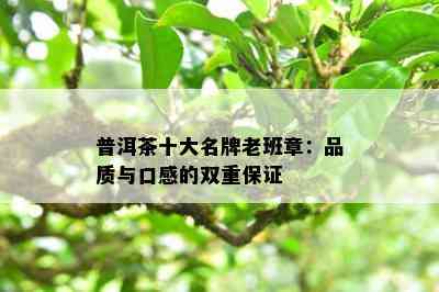 普洱茶十大名牌老班章：品质与口感的双重保证