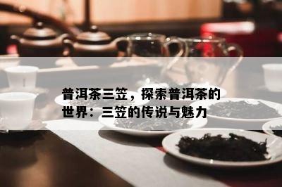 普洱茶三笠，探索普洱茶的世界：三笠的传说与魅力