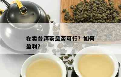 在卖普洱茶是否可行？如何盈利？