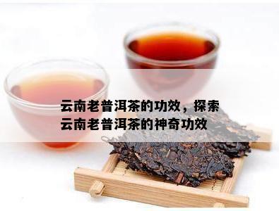 云南老普洱茶的功效，探索云南老普洱茶的神奇功效