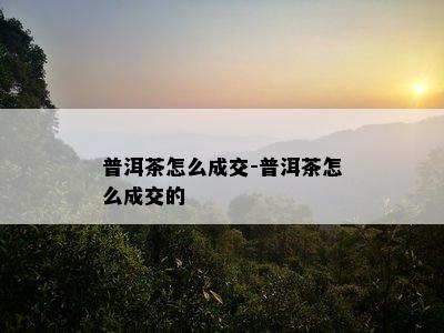 普洱茶怎么成交-普洱茶怎么成交的