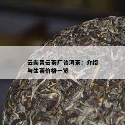 云南青云茶厂普洱茶：介绍与生茶价格一览