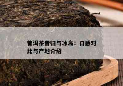 普洱茶昔归与冰岛：口感对比与产地介绍