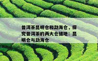 普洱茶昆明仓和勐海仓，探究普洱茶的两大仓储地：昆明仓与勐海仓