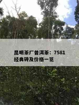 昆明茶厂普洱茶：7581经典砖及价格一览