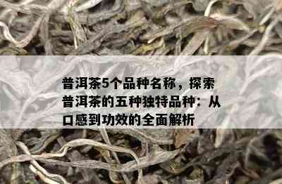 普洱茶5个品种名称，探索普洱茶的五种独特品种：从口感到功效的全面解析