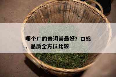 哪个厂的普洱茶更好？口感、品质全方位比较