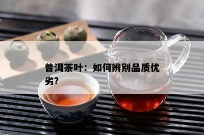 普洱茶叶：如何辨别品质优劣？