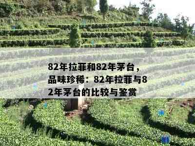 82年拉菲和82年茅台，品味珍稀：82年拉菲与82年茅台的比较与鉴赏