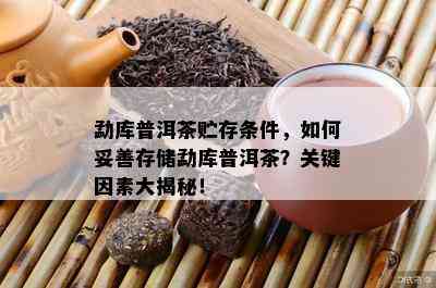 勐库普洱茶贮存条件，怎样妥善存储勐库普洱茶？关键因素大揭秘！