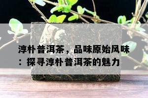 淳朴普洱茶，品味原始风味：探寻淳朴普洱茶的魅力