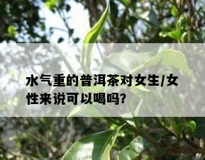 水气重的普洱茶对女生/女性而言可以喝吗？