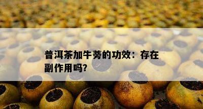 普洱茶加牛蒡的功效：存在副作用吗？