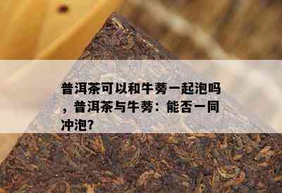 普洱茶可以和牛蒡一起泡吗，普洱茶与牛蒡：能否一同冲泡？